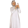 صورة المنتج