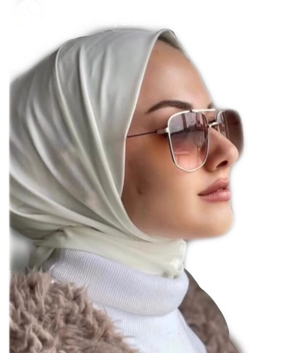 صورة المنتج